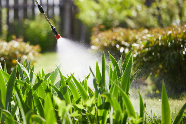 24/7 Emergency Rodent Control experts in Thomaston, NY